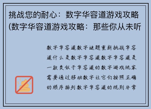 挑战您的耐心：数字华容道游戏攻略(数字华容道游戏攻略：那些你从未听说的技巧和策略)